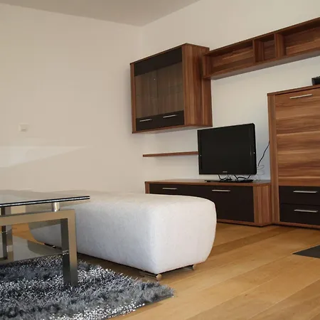 Appartement In The Ski Area Of Hinterglemm *
